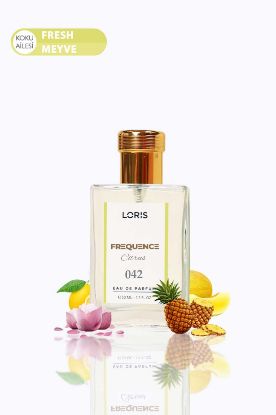 Loris K-042 Frequence Kadın Parfümü 50 ML resmi