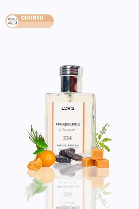Loris E-234 Frequence Erkek Parfüm 50 ML resmi